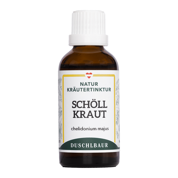 Schöllkraut (Warzenkraut) Tinktur