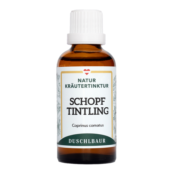 Schopftintling Vitalpilz Tinktur - coprinus comatus