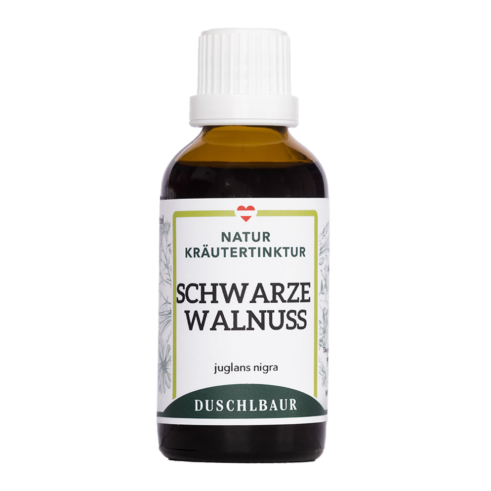 Schwarze Walnuss Tinktur - juglans nigra