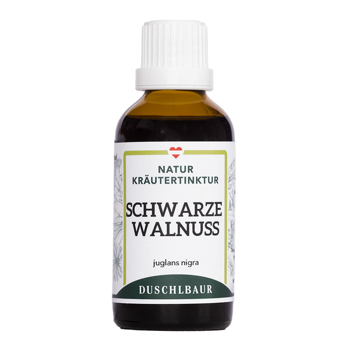 Schwarze Walnuss Tinktur - juglans nigra