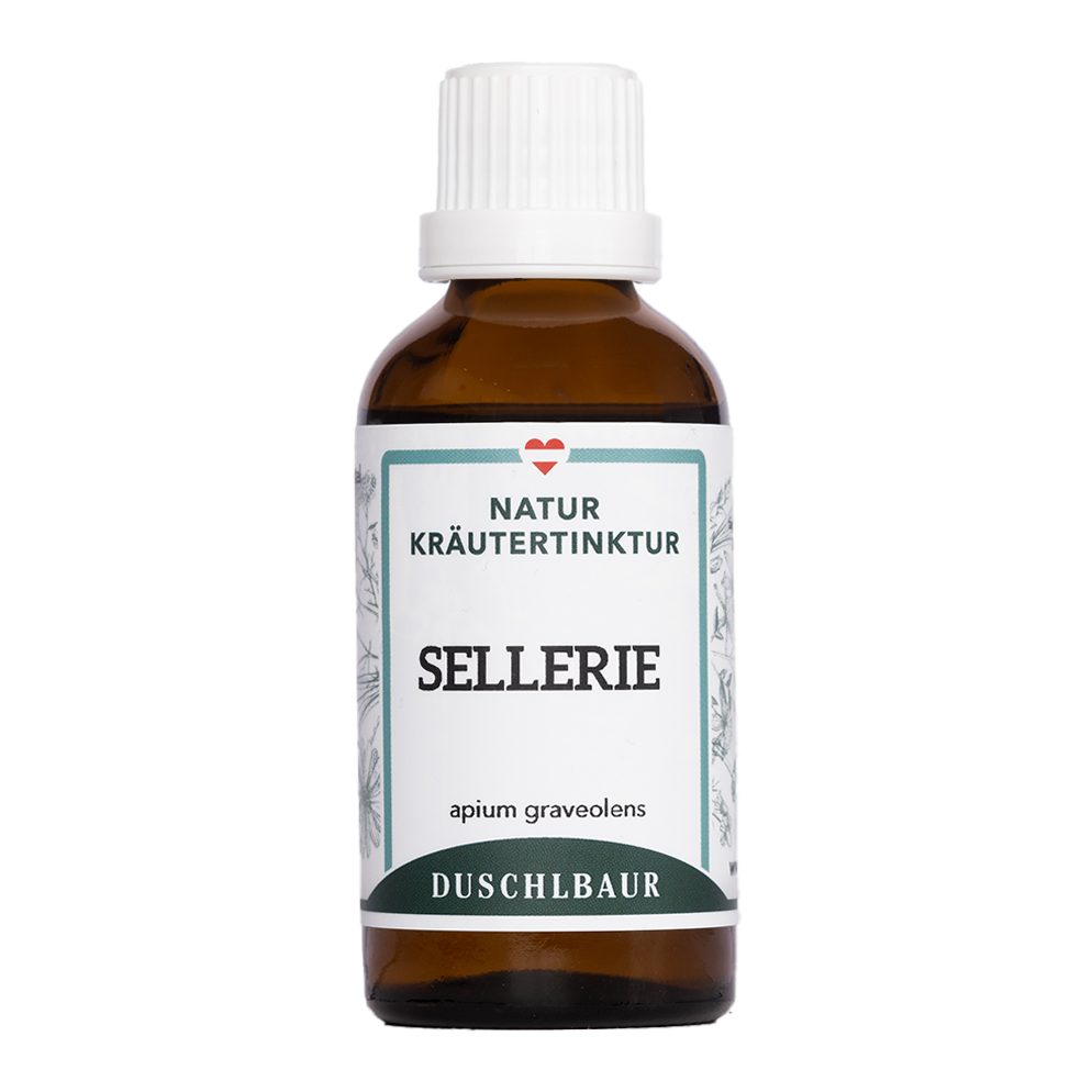Celery tincture - apium graveolens