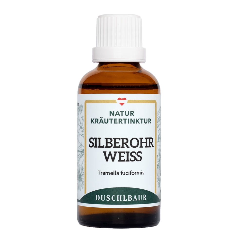 Silberohr weiß Vitalpilz Tinktur - tramella fuciformis
