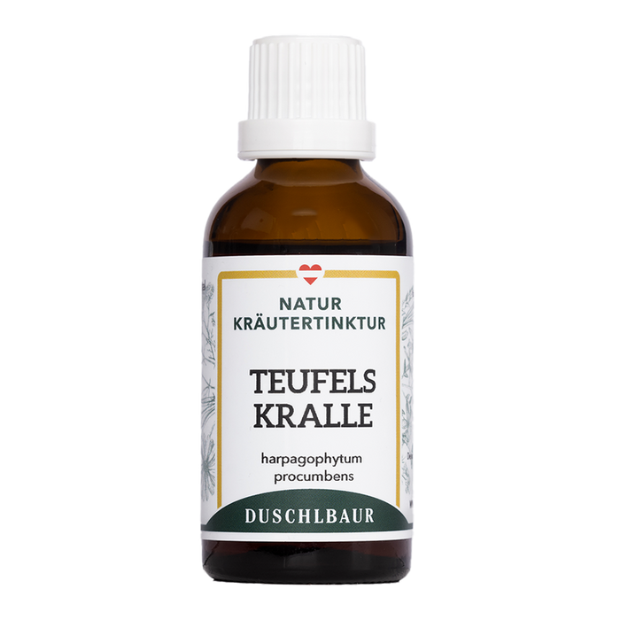 Teufelskralle Tinktur - harpagophytum procumbens