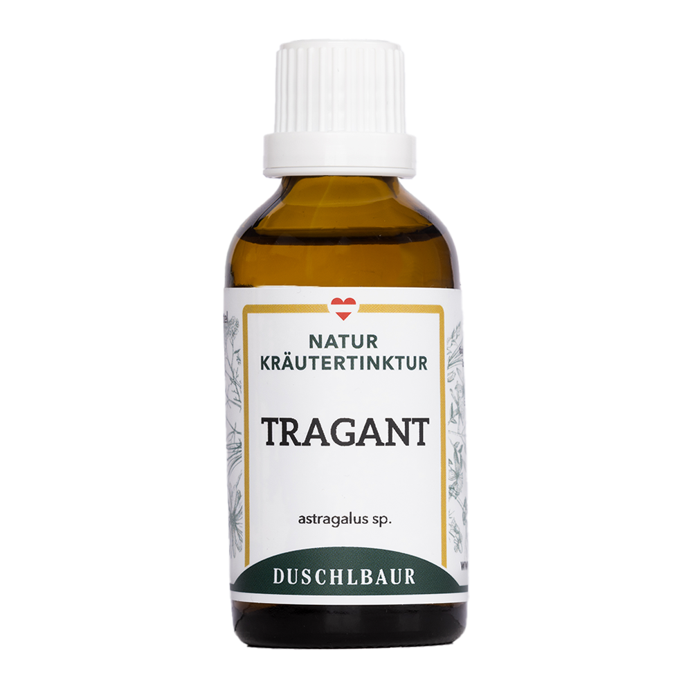 Tragant Tinktur - astragalus spruneri