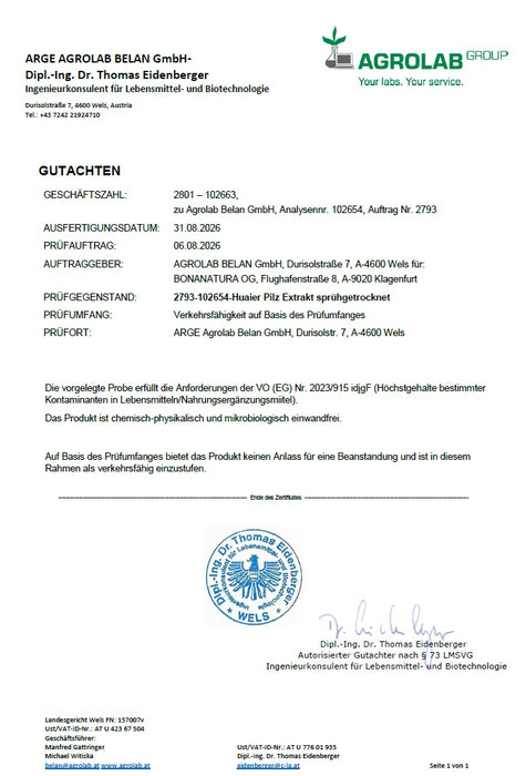 Huaier Pilz Pulver Extrakt 40 % Polysaccharide - trametes robiniophila murr