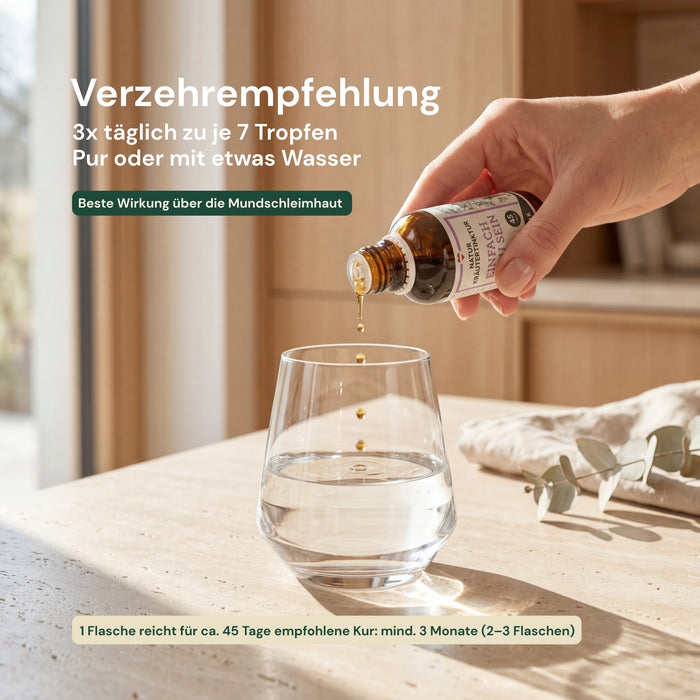 Zunderschwamm Vitalpilz Tinktur - fomes fomentarius