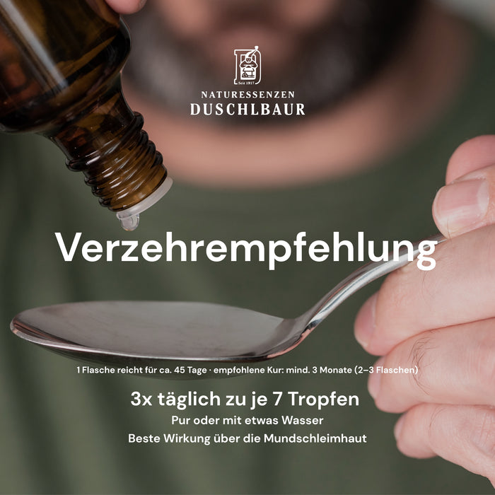 Birkenporling tincture - piptoporus betulinus