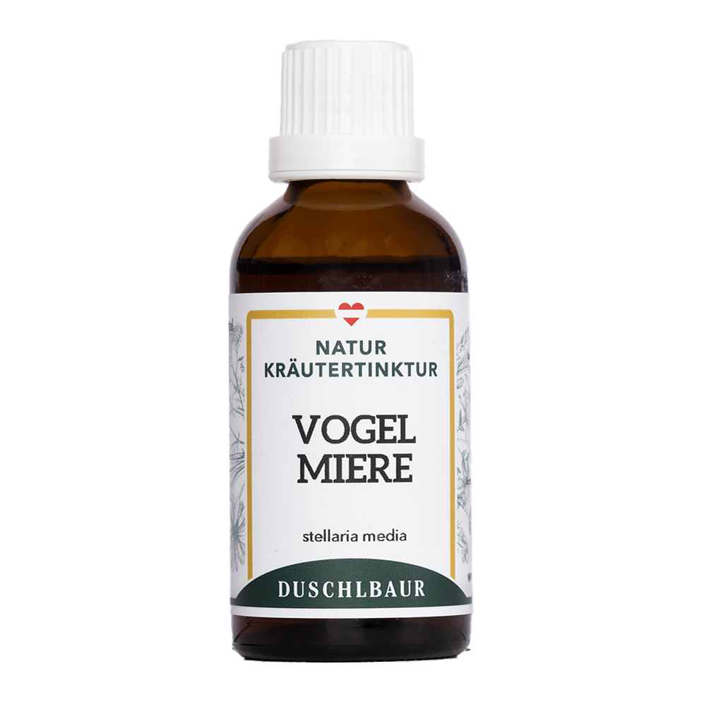 Vogelmiere Tinktur - stellaria media