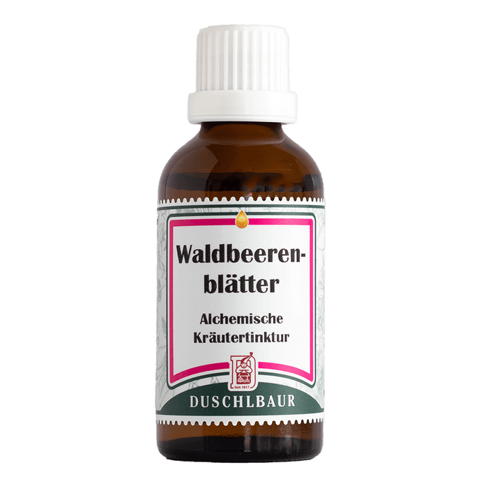 Waldbeerblätter Tinktur - fragaria vesca