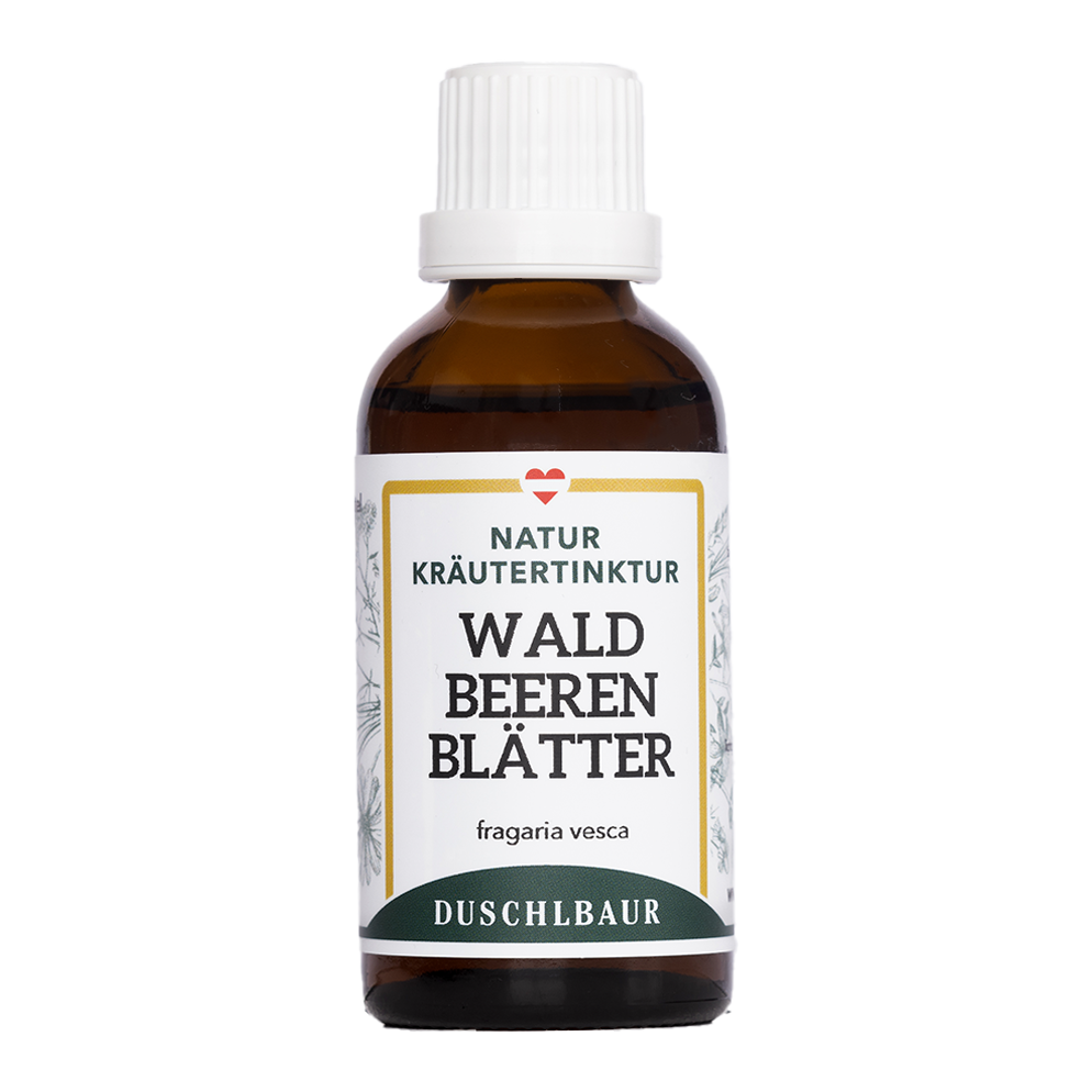 Wildberry leaf tincture - fragaria vesca