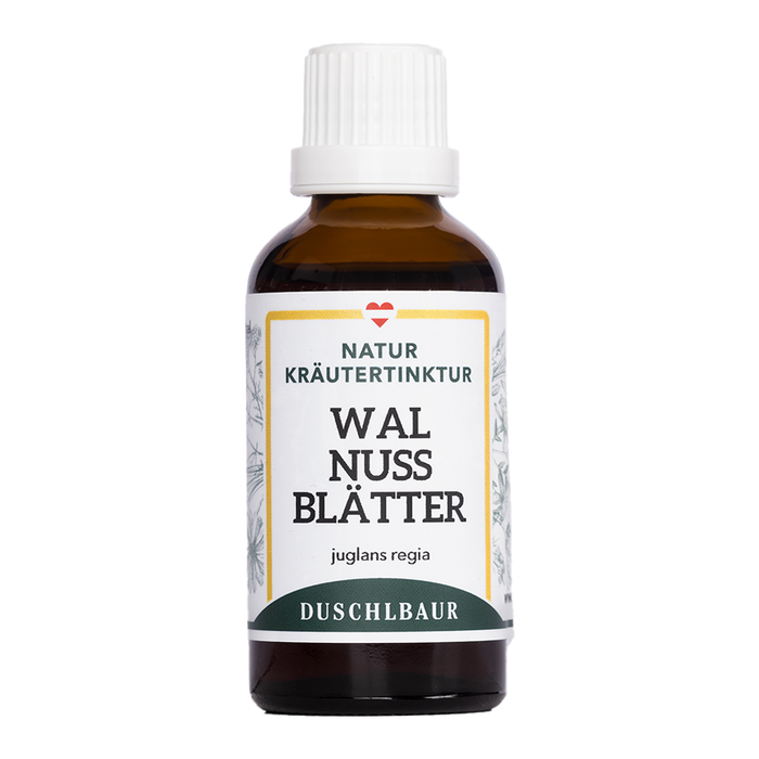 Walnuss echt Tinktur - juglans regia