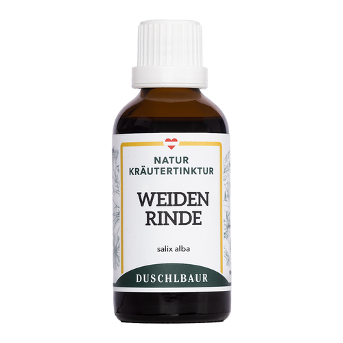 Weidenrinde - Silberweide Tinktur - salix sp.