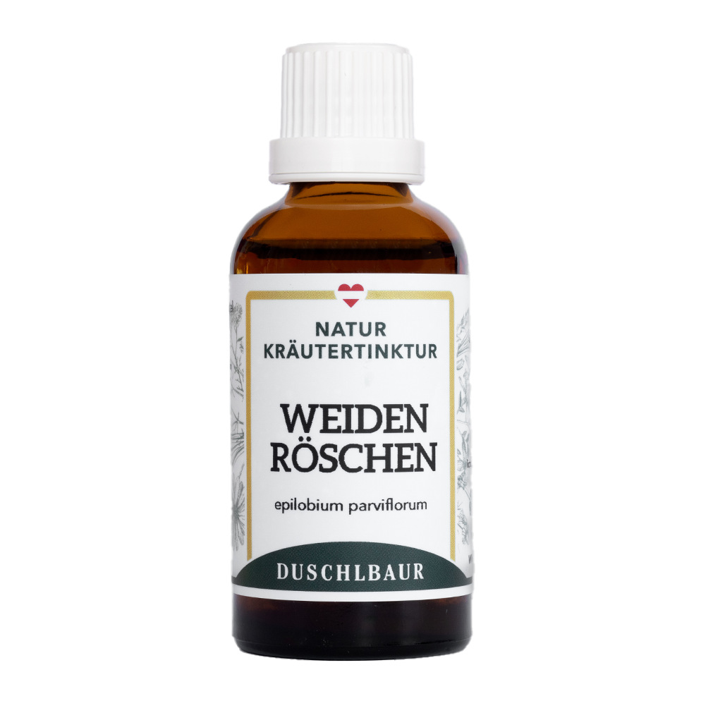 Weidenröschen Tinktur - epilobium parviflorum