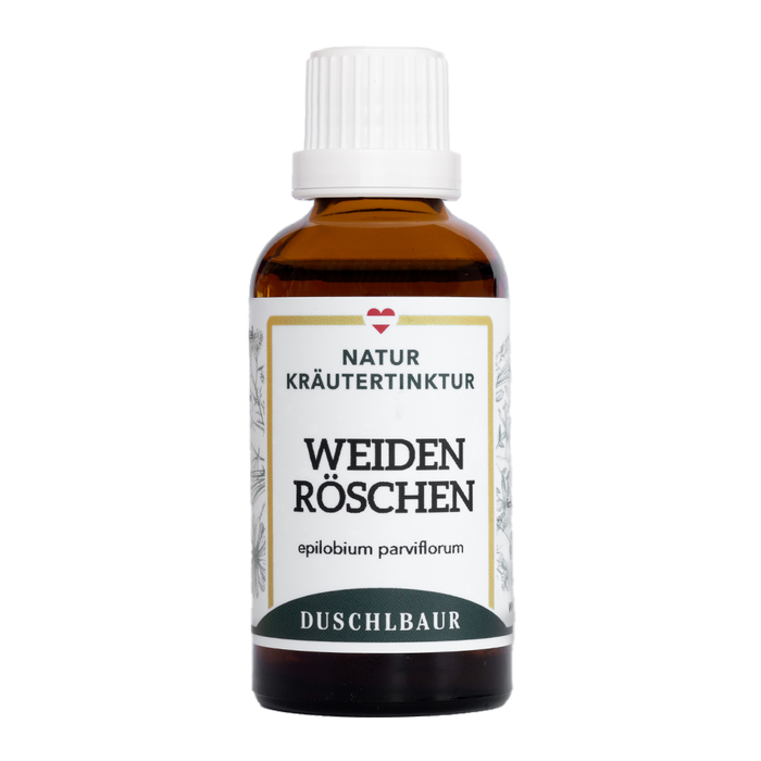 Weidenröschen Tinktur - epilobium parviflorum