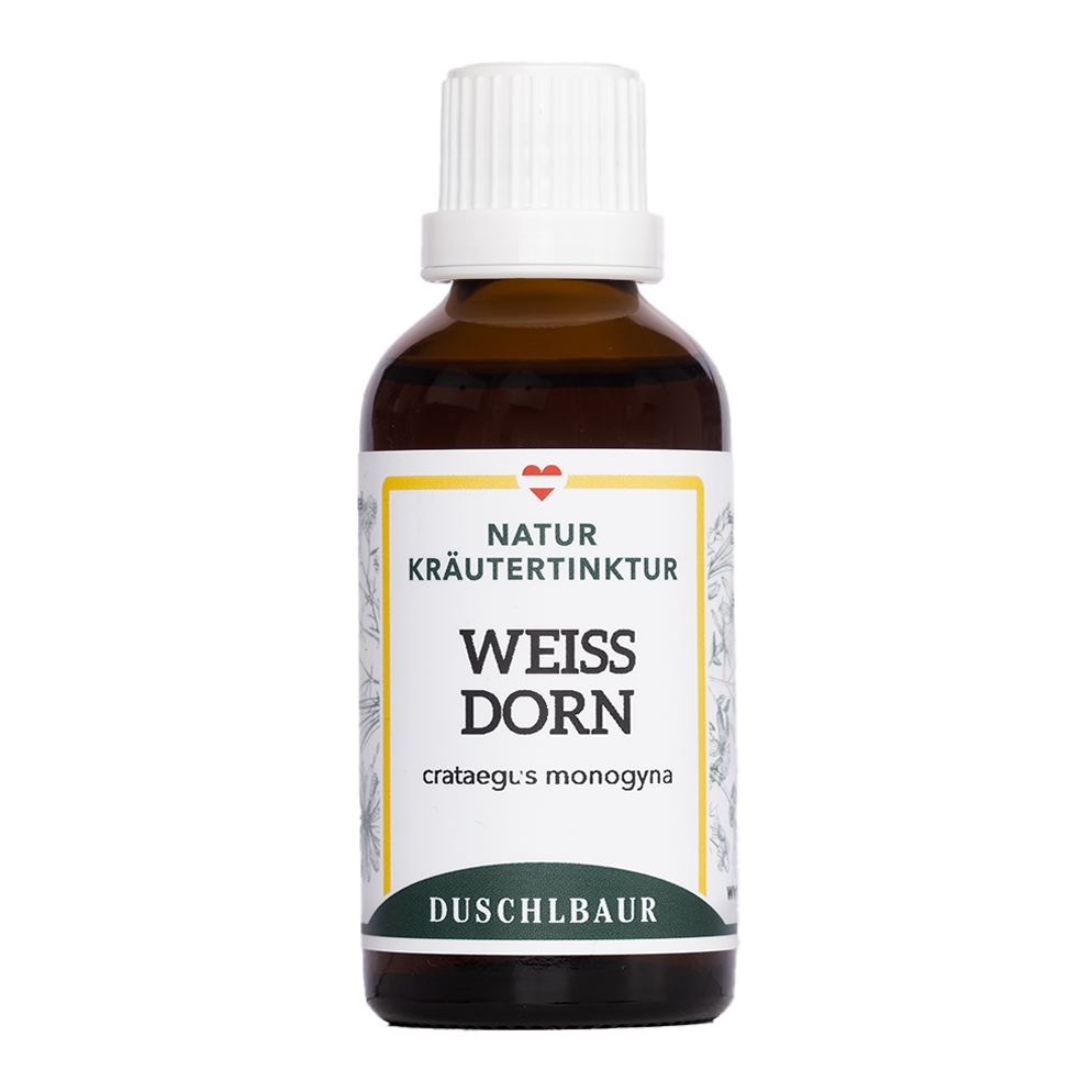 Weißdorn Tinktur - crataegus monogyna