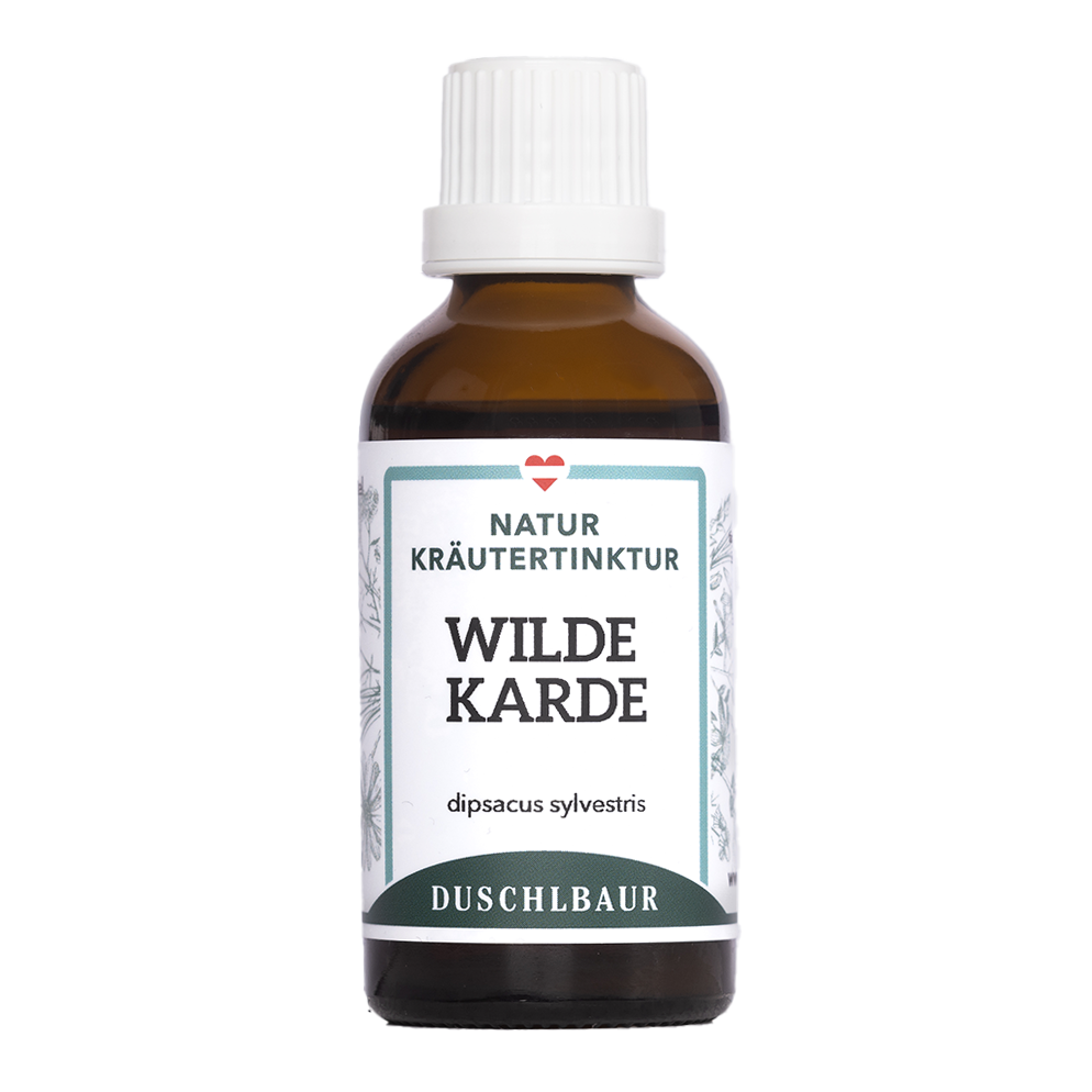 Wilde Karde Tinktur (Kardenwurzel)