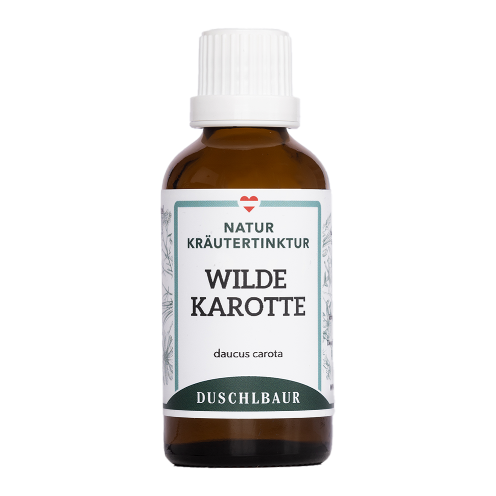 Wild Carrot Tincture - daucus carota subsp. carota