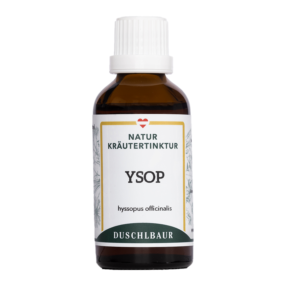 Ysop Tinktur - hyssopus officinalis
