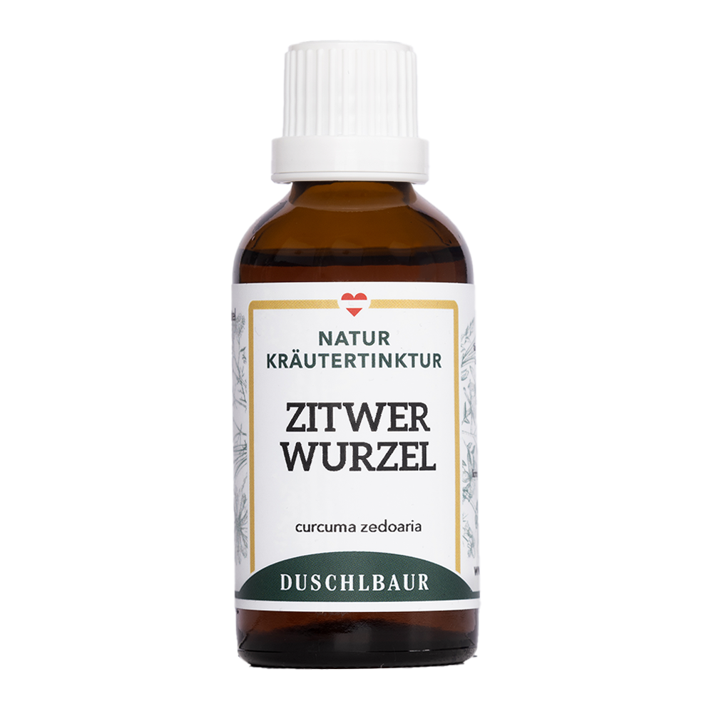 Zitwerwurzel Tinktur - curcuma zedoaria